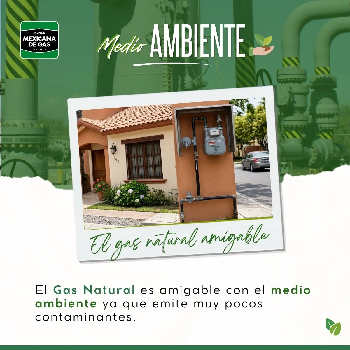Medio ambiente