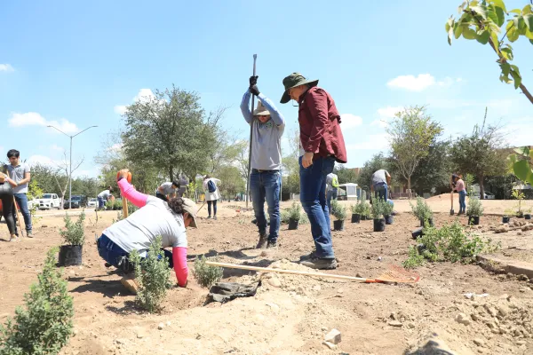 Voluntariado